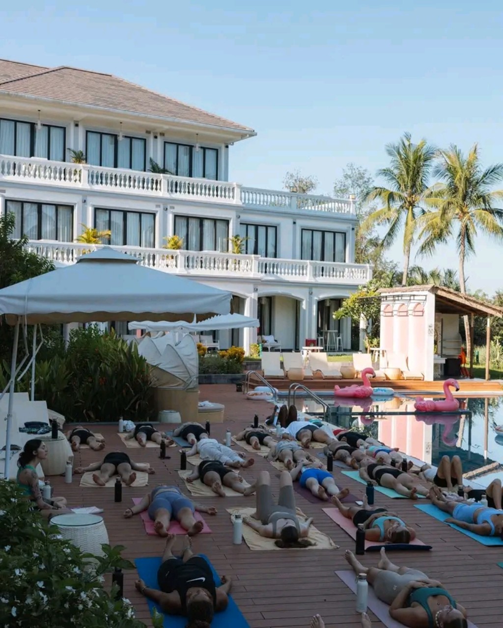 Discover Yoga