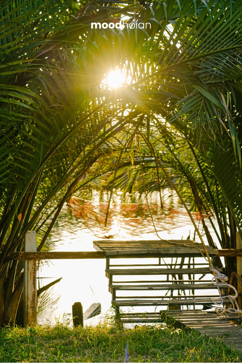 đò river by moodhoian riverside resort & spa